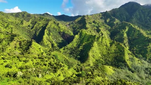 Aerial view of lush green mountains, United States.