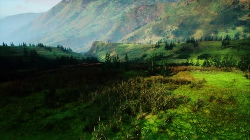 Lush Green Hillside Covered in Trees