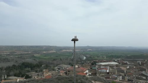 Aerial Shot of Pair Of Storks Sits In a Big Nest On Top of Utility Pole