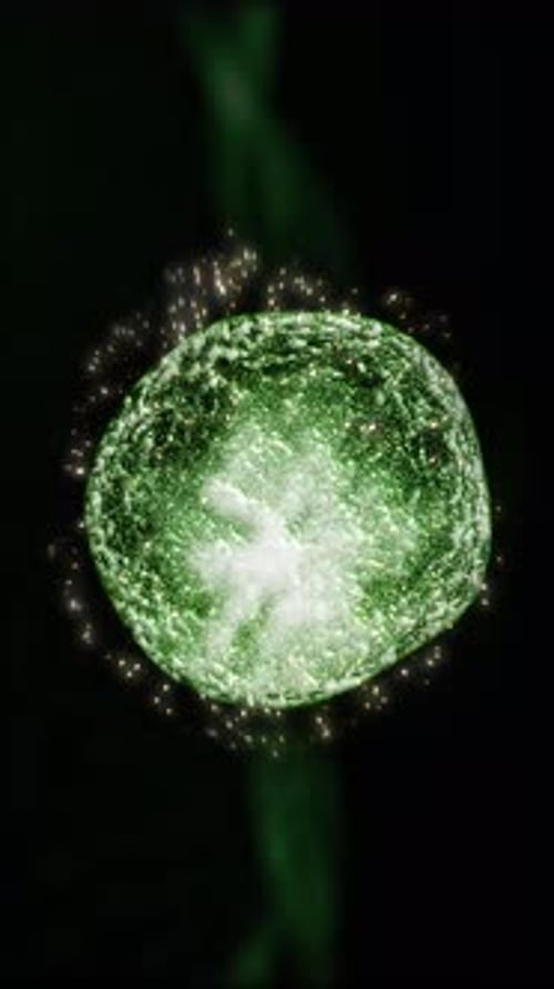 Shimmering Green Fluid Cell Particle Animation
