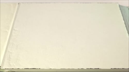 Elegant Decorative Book Open Close for Wedding Anniversaries