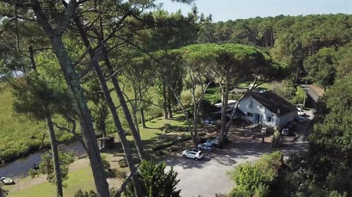Lakeside, house surrounded by pines, Landes, France. Aerial forward