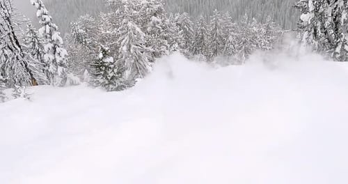 Skier Riding Through Deep Powder in Winter Forest