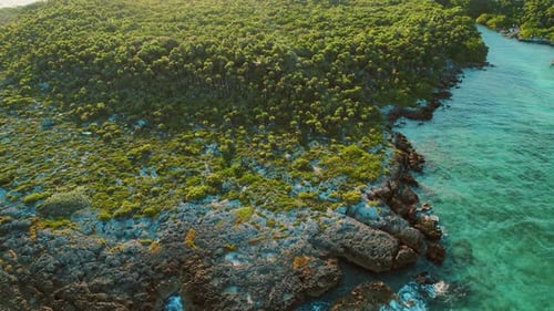 Drone view of green tropical island coastline with rocky shore and dense palms