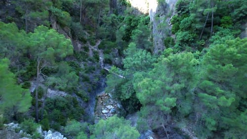 Wooden aerial walkway in the forest. Dolly in aerial view. Grenade. Spain.
