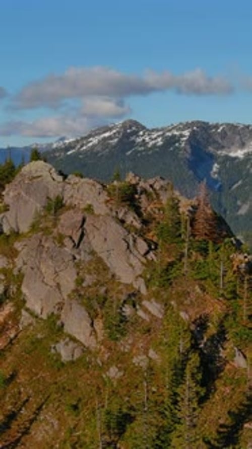 Rocky Mountain Peak Vista, Trees. Summer, blue sky. British Columbia, Canada.