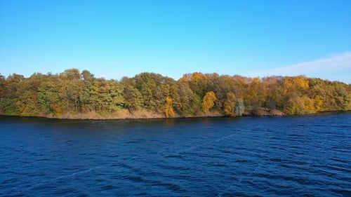 Beautiful forest near the lake under clear sky.