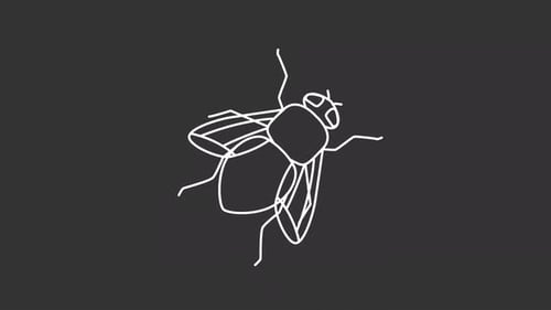 Animiertes weißes Stubenfliegensymbol
