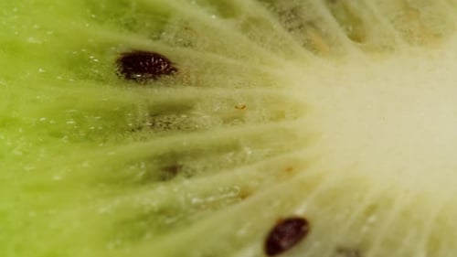Macro Shot of a Fresh Kiwi Fruit