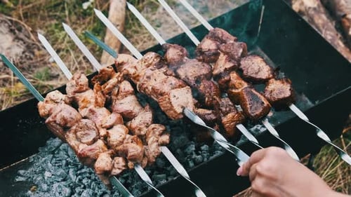 Shish Kebabs on Skewers are Cooked on the Grill in Nature Outdoors