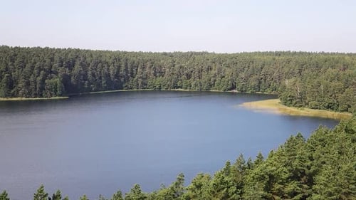 Ruhige Naturlandschaft von oben über einem Fluss mitten im Wald