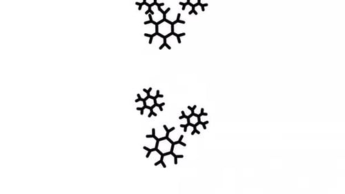 Seamless Loop of Geometric Hexagon Snowflake Pattern