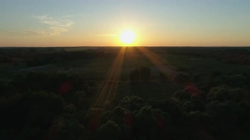 Aerial View Sunset or Sunrise in Field Drone Shot Beautiful Summer Sun in Forest