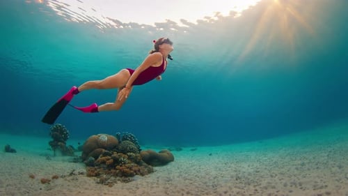 Woman Freediver in Pink Suit Glides Underwater and Enjoys Swimming Underwater in the Tropical Sea in