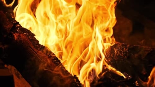 Close Up Campfire Flames
