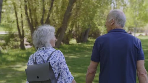 Senior Couple Holding Hands Walking in Park Active