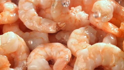 Drops of Water Drip Onto Fresh Shrimp Filmed on a Highspeed Camera at 1000 Fps
