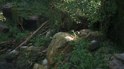 Majestic Stone Adorned With Vibrant Green Moss
