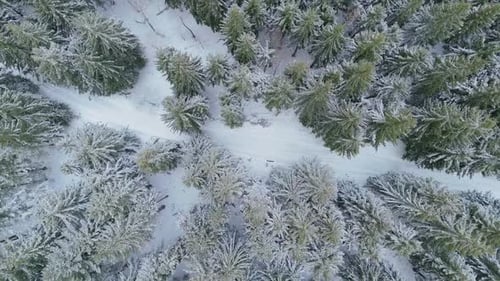 Top view of a scenic road through a winter fairytale mountain forest with snowcovered pine trees FHD
