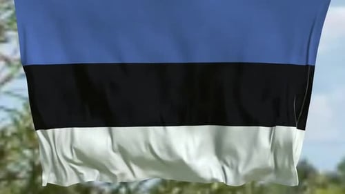 Realistic 3D Waving Flag Animation Background