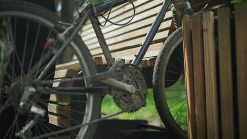 Gros plan d'un vélo posé entre un banc en bois et une structure dans un parc paisible