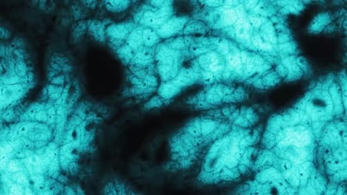 Abstract microscope cell texture