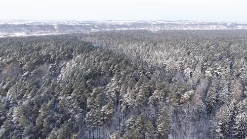 Aerial View of Snowy Forest Landscape in Winter