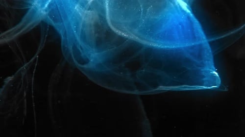 Abstract Blue Ink Swirl Against Black Background