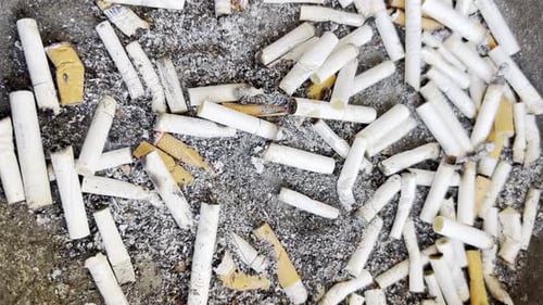 cigarettes light headed Feeling Dizzy After Smoking? Here's Why cigarettes light headed Feeling Dizzy After Smoking? Here's Why
