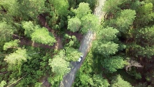 A Stunning Aerial View Showcases a Car Driving on a Road Embraced By a Lush Green Forest Stock Clip