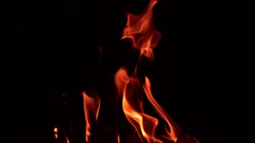 Beautiful flames of bonfire dancing in the darkness. Thin tongues of flame going up. Close up.
