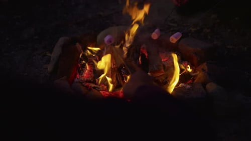 Friends Roasting Marshmallows around Campfire at Night