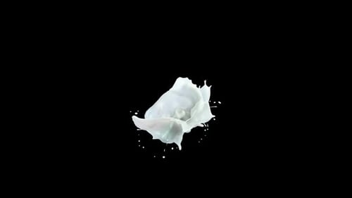 Milchspritzer in Zeitlupe auf transparenter Alpha