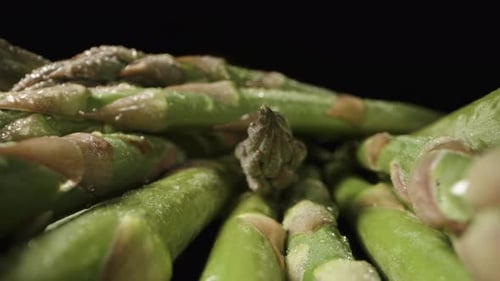Fresh asparagus spears on a black background with water droplets. Dolly slider extreme close-up.