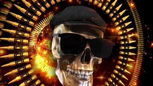 Skull And Bullets