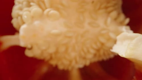 Sliced Red Bell Pepper with Shiny Red Tomatoes