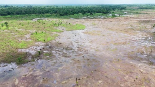 Tropical Greenery, Untouched Habitat, Amazonian Basin, Aerial Scenery