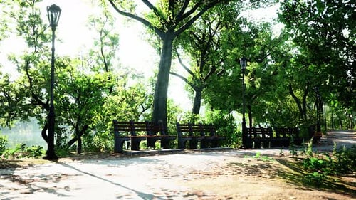 Wege in der Parkzone