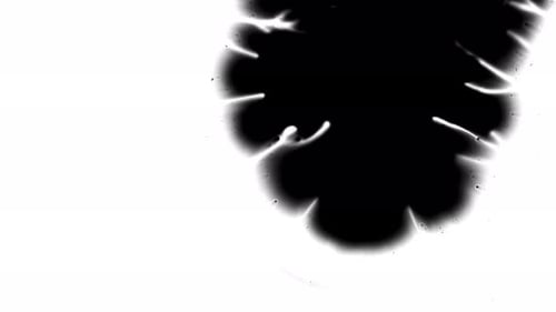 Black Ink Splatter on White Background