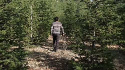 Man Walking Nature