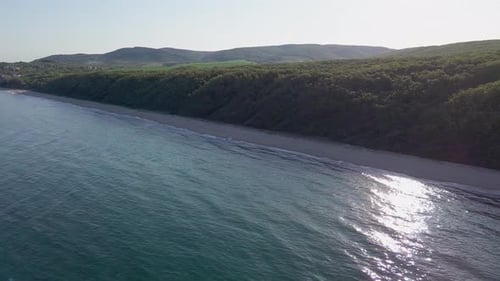 Beach Between a Ledge Covered with Vegetation and a Black Sea Under a Clear Blue Sky
