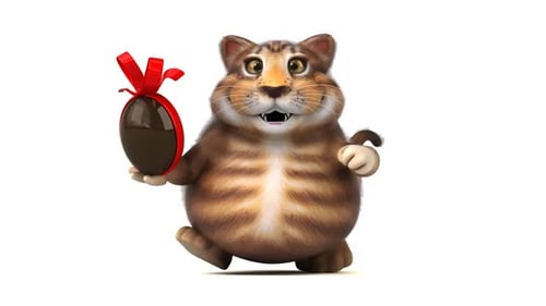 Fun cat - 3D Animation