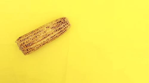 Corn on the cob lies on yellow surface