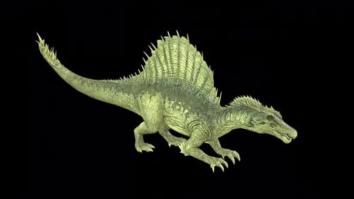 Spino Startled Idle
