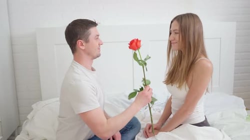 Valentine's Day Surprise The Husband Gave a Rose to His Wife The Woman Sleeps in the White Bedroom