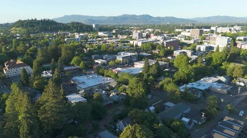 Aerial view of cityscape along river with trees, United States.