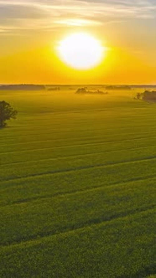 Golden fields glow under a vivid sunset as light mist drifts over the landscape