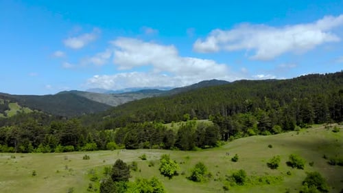 Beautiful mountain landscape with green meadows and pine trees forest on blue sky and white clouds b