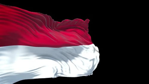 Realistic Waving Red and White Flag with Alpha Channel