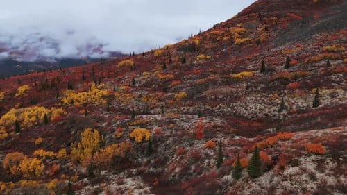 Cores brilhantes de outono na tundra através da rodovia Dempster em Yukon, Canadá. Foto aérea